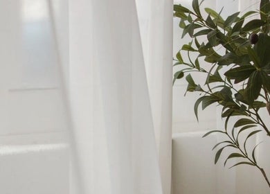 Peaceful corner at Skin Haus Aesthetics LLC, Miramar, Florida, with a lush plant by white curtains.