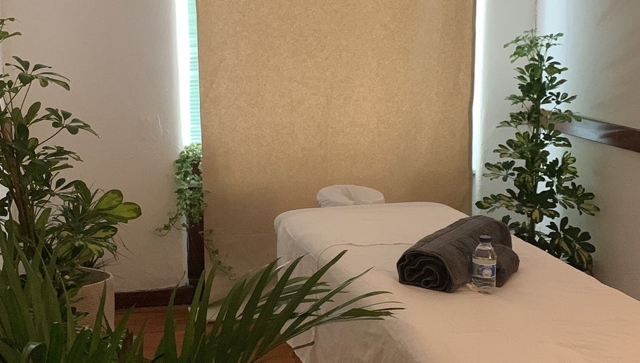 Relaxing massage room at Loom massage studio - Príncipe Real, Lisbon, featuring plants and a massage table. Lisboa, Lisboa, PT.
