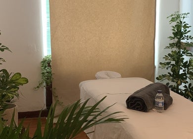 Relaxing massage room at Loom massage studio - Príncipe Real, Lisbon, featuring plants and a massage table. Lisboa, Lisboa, PT.