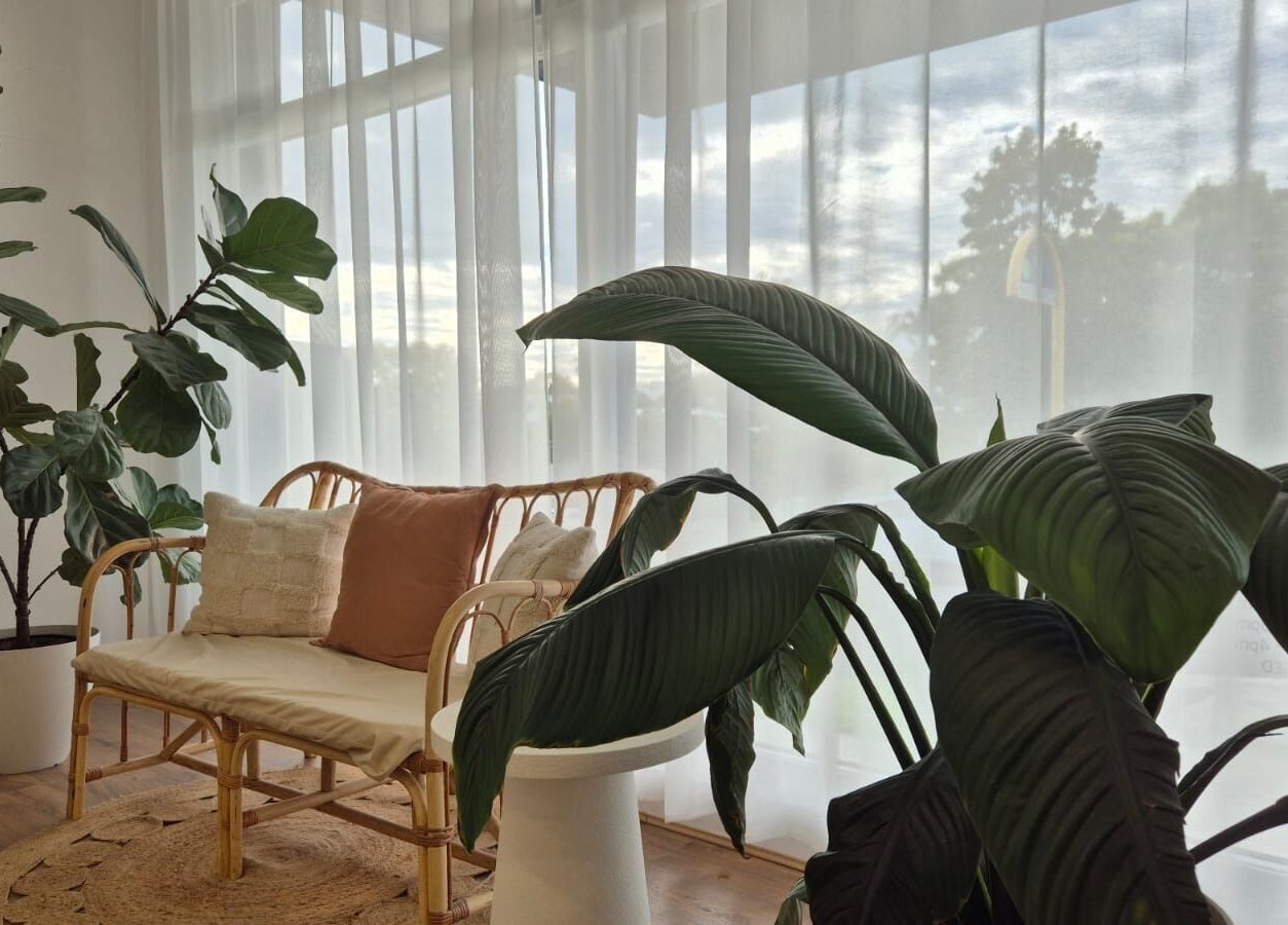 Relaxing lounge area with greenery at The Studio by Laurine Durand, Camp Hill, Queensland, AU.