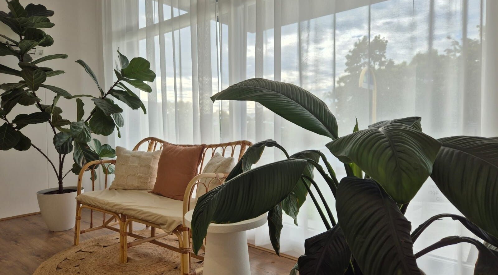 Relaxing lounge area with greenery at The Studio by Laurine Durand, Camp Hill, Queensland, AU.