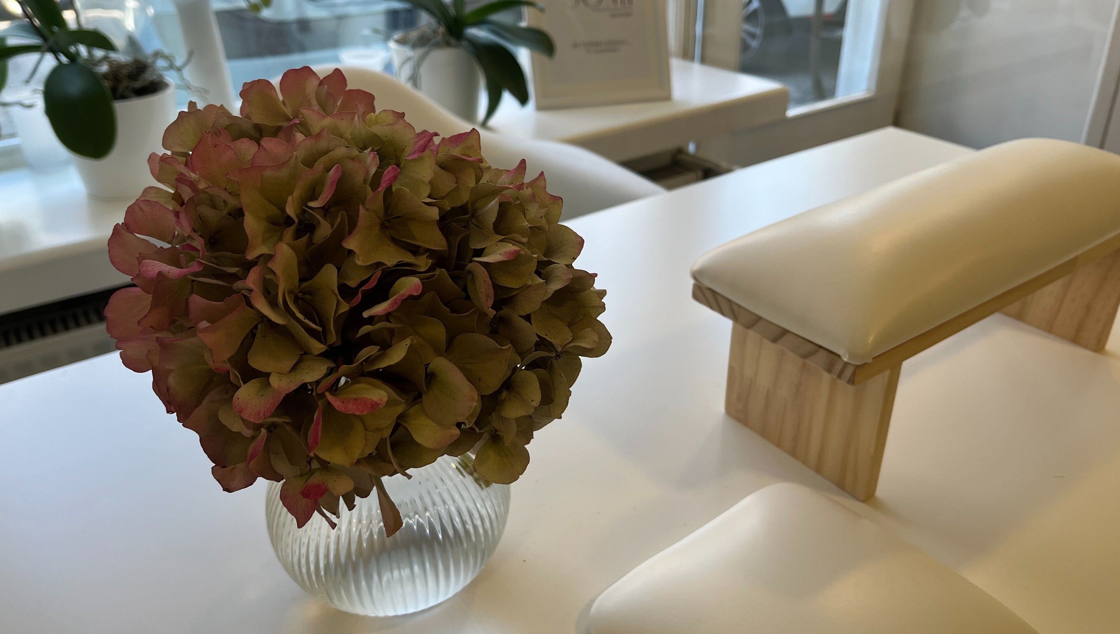 Elegantna hortenzija na mizi v SOMI Nail Studio, Ljubljana, SI, poleg naslonjala za roke.