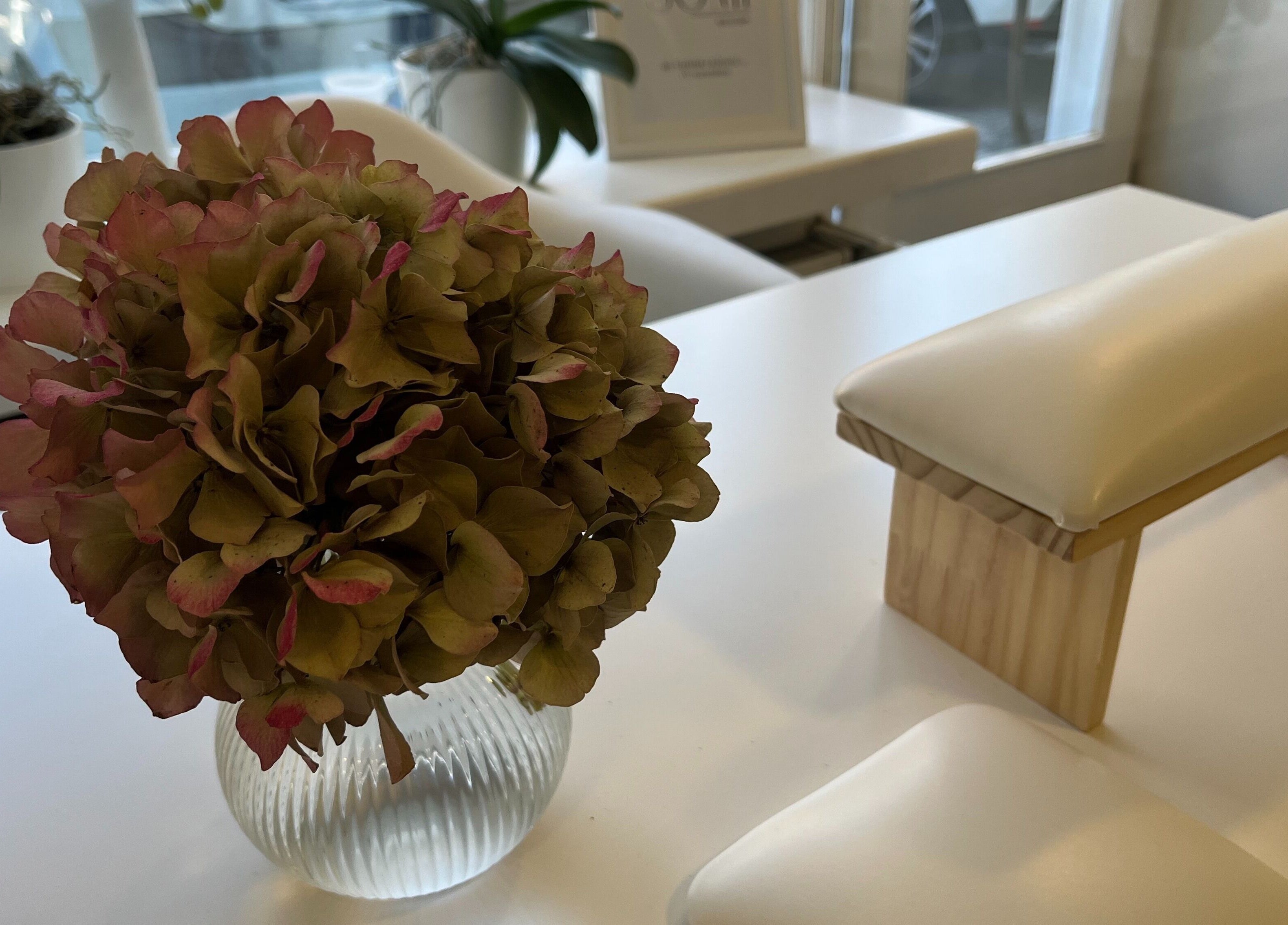 Elegantna hortenzija na mizi v SOMI Nail Studio, Ljubljana, SI, poleg naslonjala za roke.