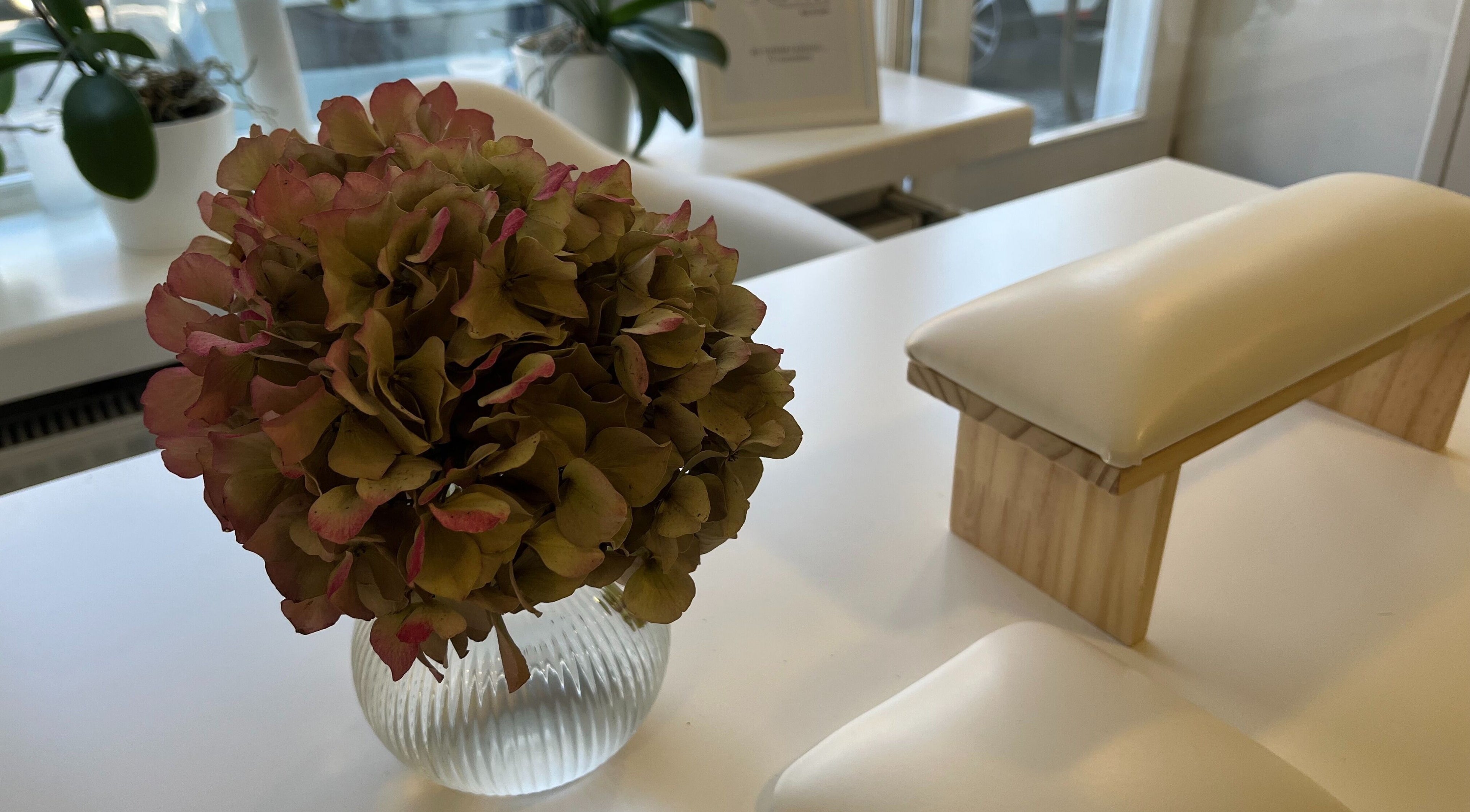 Elegantna hortenzija na mizi v SOMI Nail Studio, Ljubljana, SI, poleg naslonjala za roke.