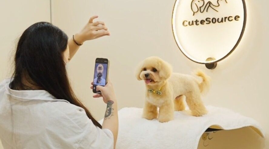 Grooming session at CuteSource in Singapore with a fluffy dog posing for a picture.