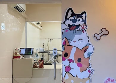 Entrance of CuteSource in Singapore, featuring cute pet-themed decor and welcoming ambience.