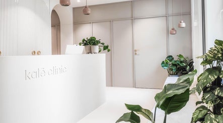 Recepce kalē clinic s rostlinami, Trnavský Kraj, SK