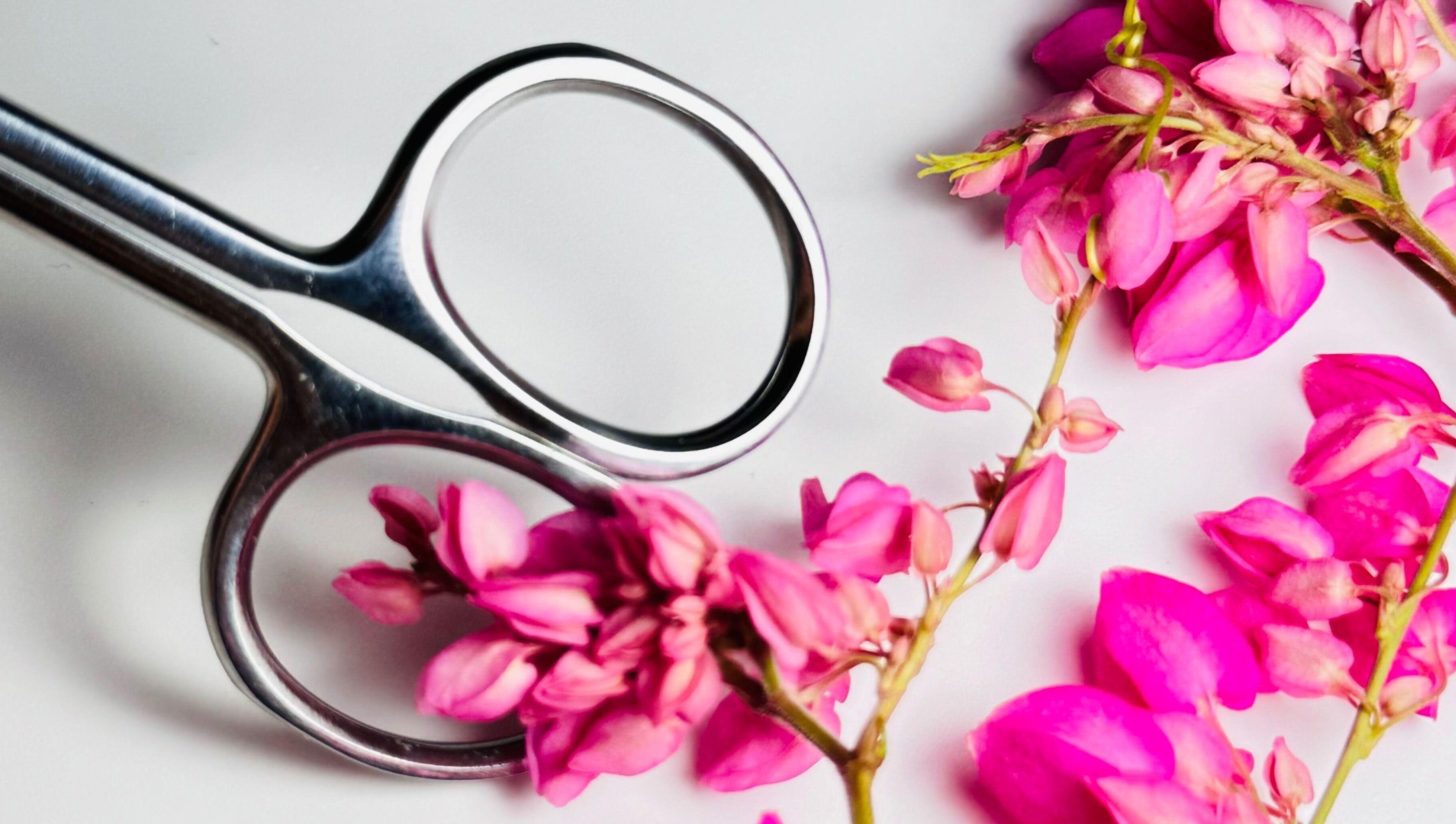 Tijeras y flores rosadas en Betel Beauty by Wil, Kralendijk, Bonaire, BQ; estética y elegancia.