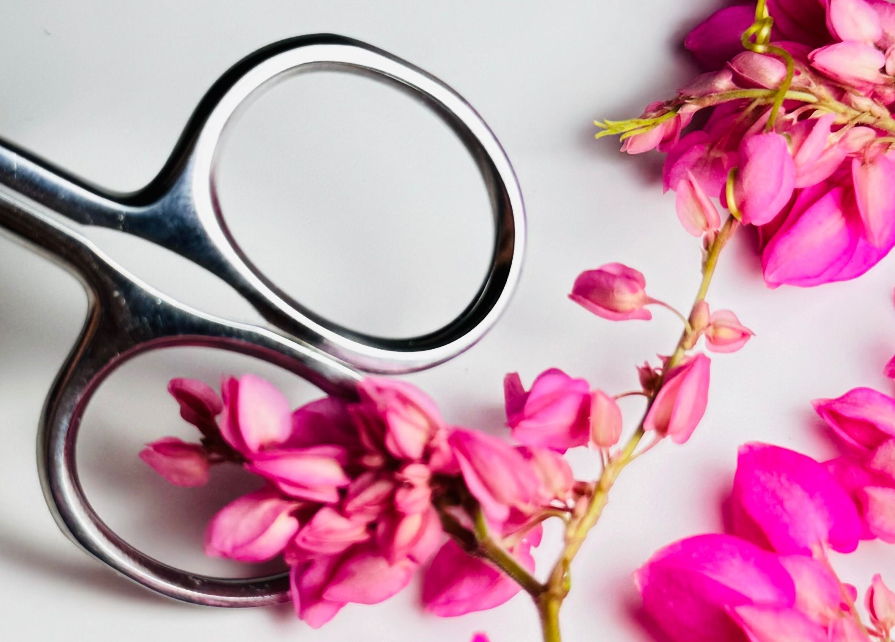 Tijeras y flores rosadas en Betel Beauty by Wil, Kralendijk, Bonaire, BQ; estética y elegancia.