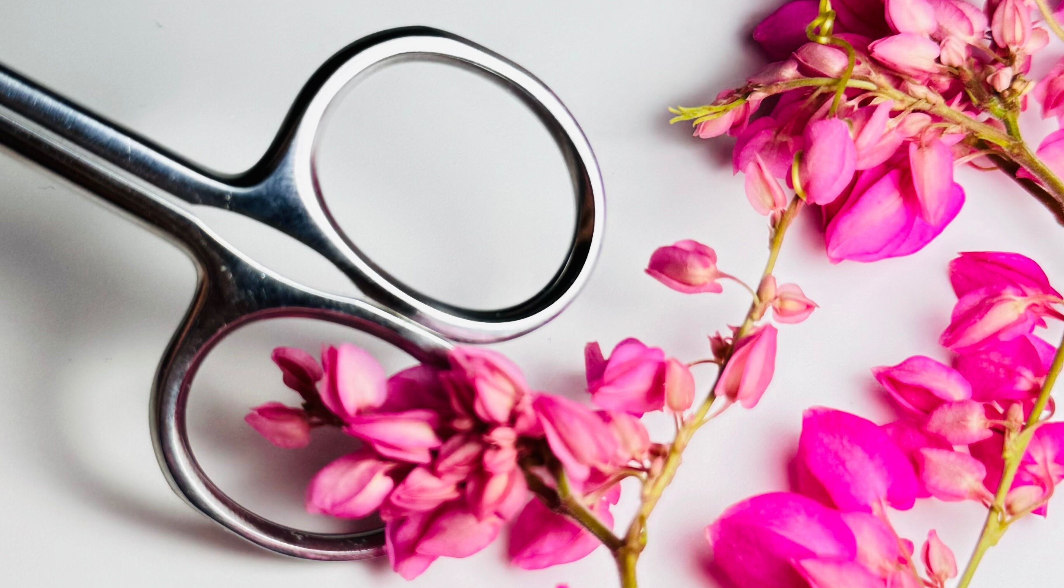 Tijeras y flores rosadas en Betel Beauty by Wil, Kralendijk, Bonaire, BQ; estética y elegancia.