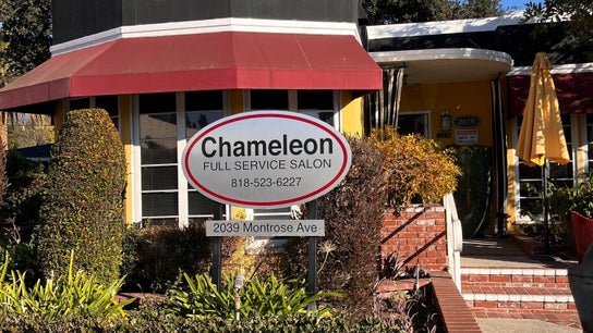 Chameleon beauty Salon