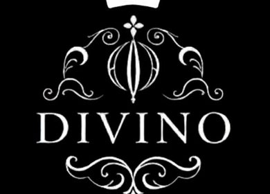 Logotipo elegante de Johana solorzano en Pereira, Risaralda, CO con detalles ornamentales.