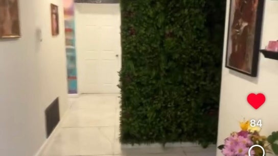 Pink Lounge Lash | PMU