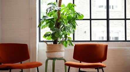 Contemporary seating and lush plant at Hair By Ashley Rose, London, England, GB.