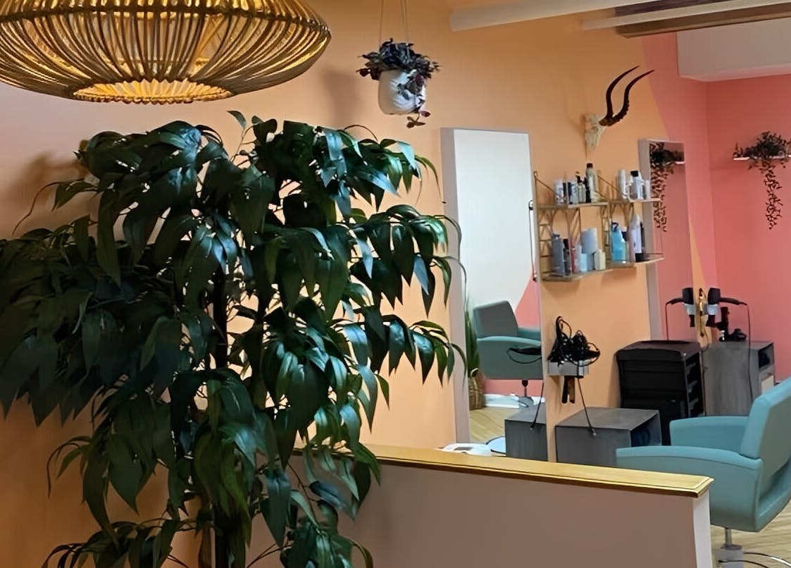 Stylish salon interior at Sarah Helena in Toronto, Ontario, CA with lush plants and modern decor.