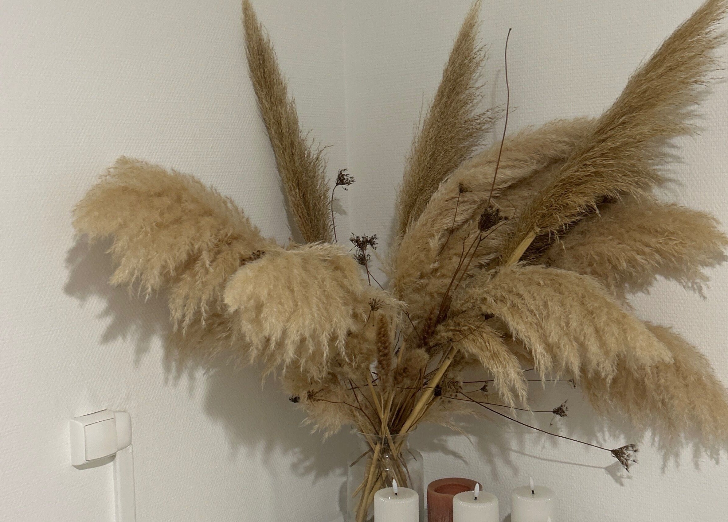 Décoration en pampas à Beauté des yeux, Mont-de-marsan, Nouvelle-aquitaine, FR, apportant une touche naturelle.