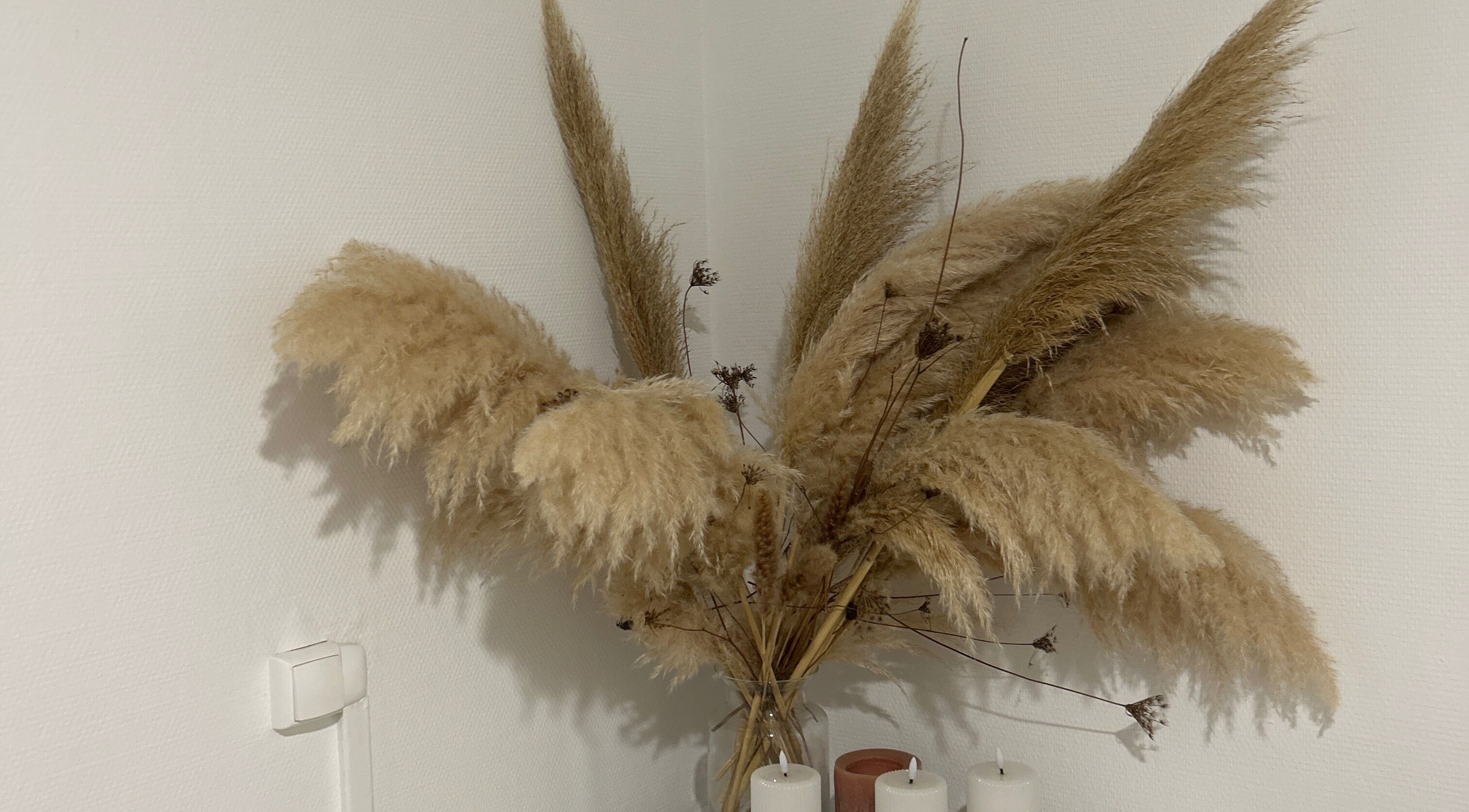 Décoration en pampas à Beauté des yeux, Mont-de-marsan, Nouvelle-aquitaine, FR, apportant une touche naturelle.