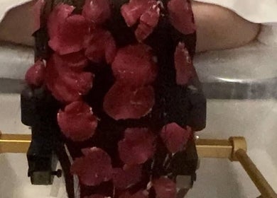 Relaxing bath with rose petals at No.1 Nassau Spa, Syosset, New York, US.