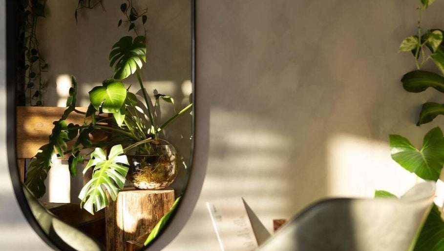 Lush plant by mirror in Willow Mane Hair Garden, Dapto, New South Wales, AU. Tranquil and inviting atmosphere.