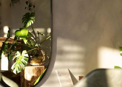 Lush plant by mirror in Willow Mane Hair Garden, Dapto, New South Wales, AU. Tranquil and inviting atmosphere.