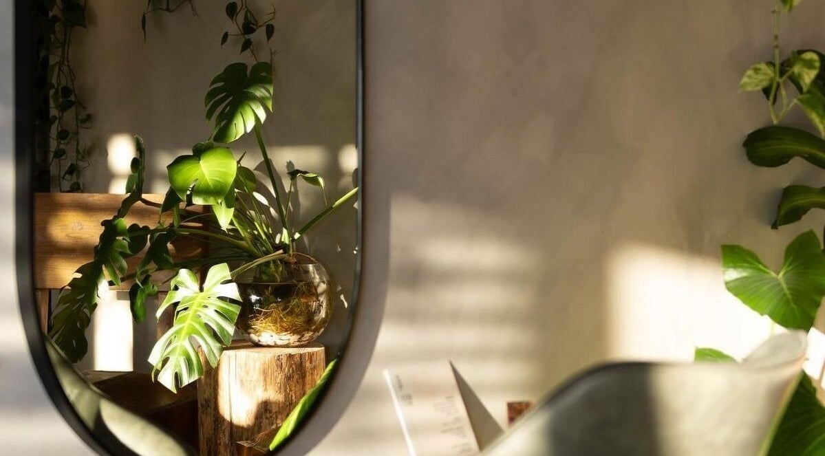 Lush plant by mirror in Willow Mane Hair Garden, Dapto, New South Wales, AU. Tranquil and inviting atmosphere.