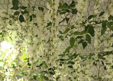 Elegant floral canopy at Willow Mane Hair Garden in Dapto, New South Wales, AU.