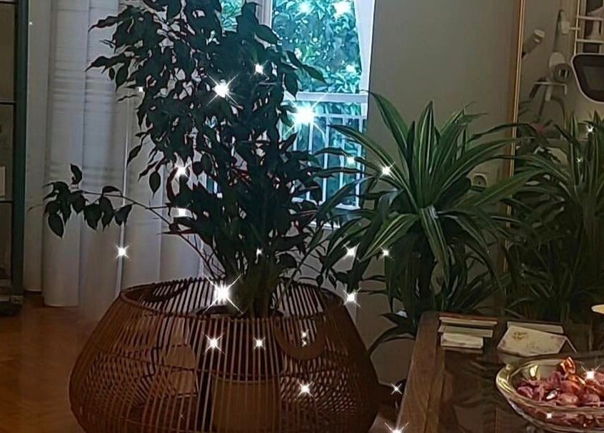 Χώρος spa με φυτά και διακόσμηση στο Argi Lashes Κερατσίνι, Κερατσίνι, GR.