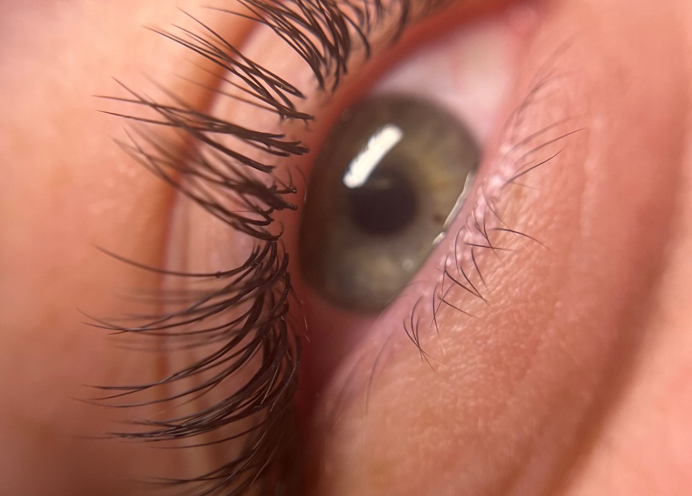 Extension de cils à Bulle De Bien être, Avanton, Nouvelle-aquitaine, FR. Des cils longs et élégants captivants.