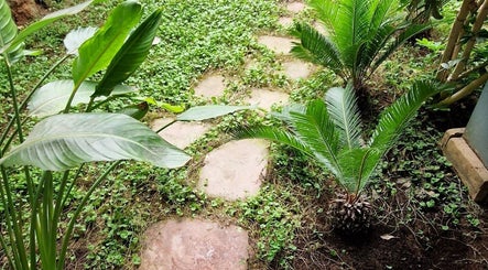 Camino de piedra entre plantas verdes en Dr.Fade, Torrelavega, Cantabria, ES.