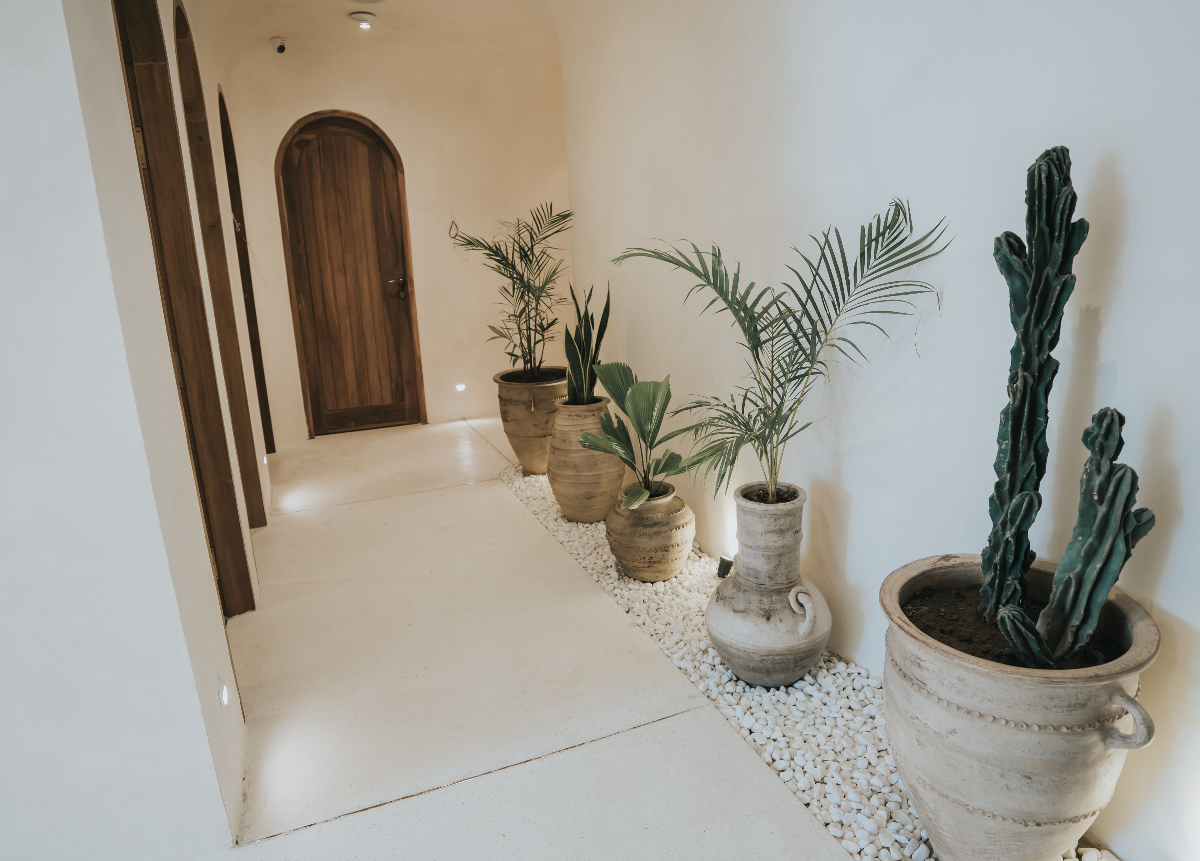 Elegant hallway at Alma Spa Bali Canggu, featuring potted plants and serene decor in Bali, Bali, ID.