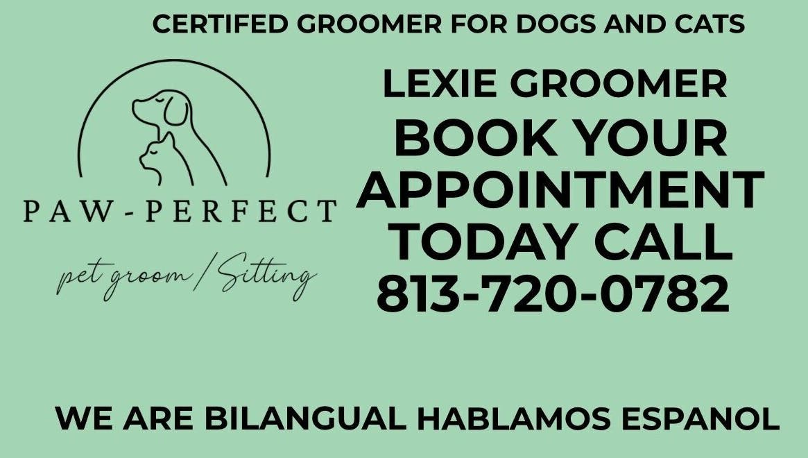 Jinx Paw Perfect Grooming offers bilingual pet grooming in Tampa, Florida. Call 813-720-0782 to book now.