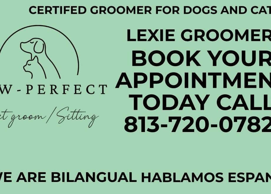 Jinx Paw Perfect Grooming offers bilingual pet grooming in Tampa, Florida. Call 813-720-0782 to book now.