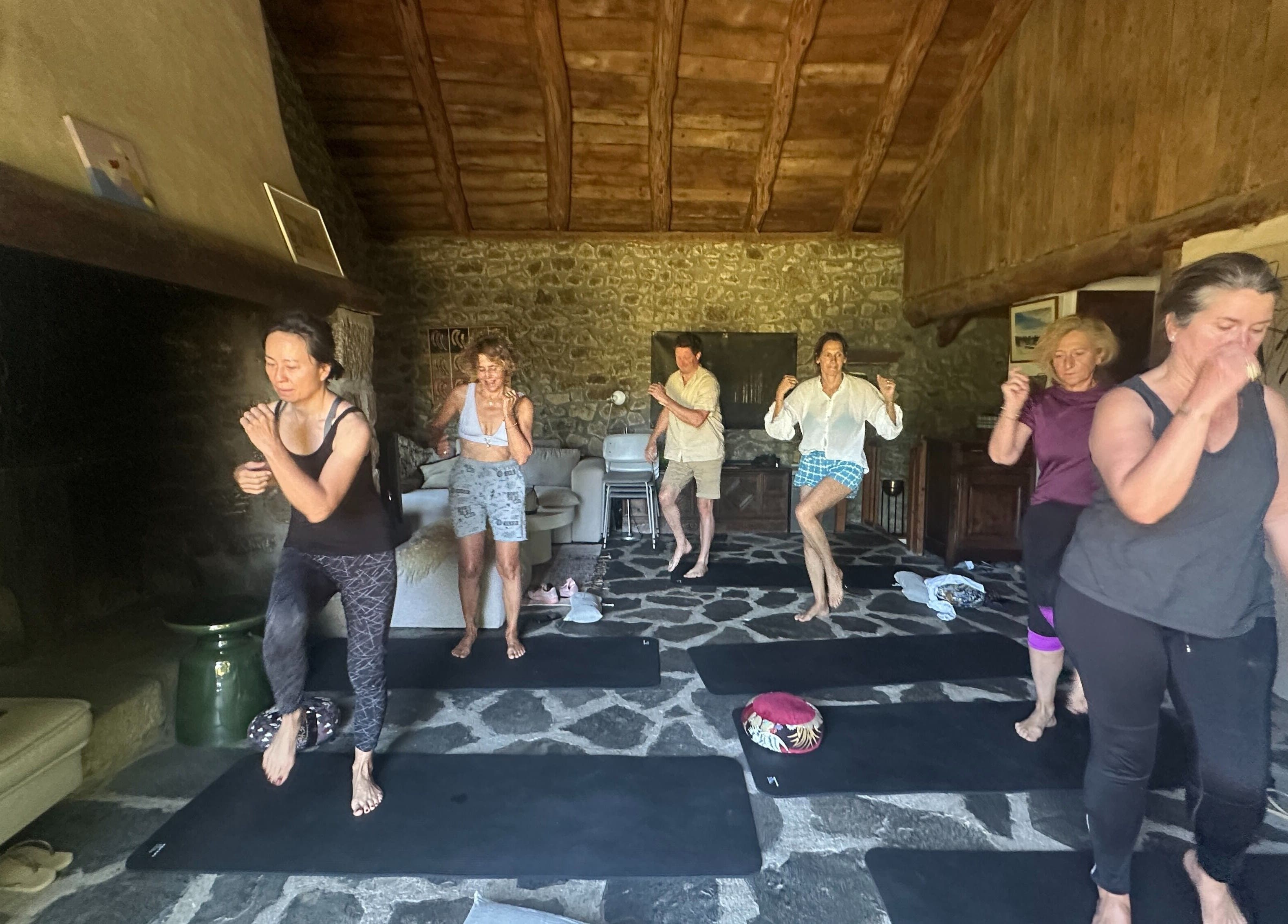 Cours de yoga à Sonora Experiences à Lyon, Auvergne-rhône-alpes, FR avec participants dynamiques.