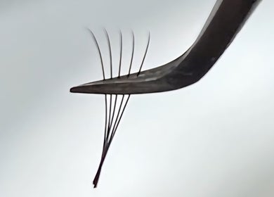 Extensiones de pestañas en dispositivo en Isabel Mollá Lash Artist, Murcia, Región De Murcia, ES.