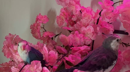 Oiseaux exotiques et fleurs roses à MK BEAUTY, Rivesaltes, Occitanie, FR, créant une atmosphère sereine.