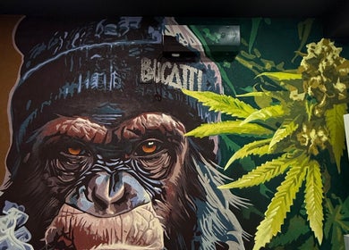 Mural cu gorilă și plante la BUCATTI BARBERSHOP BY EL NINO, Popești-leordeni, Județul Ilfov, RO.