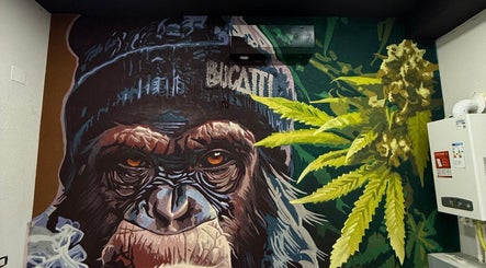 Mural cu gorilă și plante la BUCATTI BARBERSHOP BY EL NINO, Popești-leordeni, Județul Ilfov, RO.