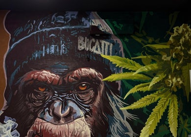 Artă graffiti urbană cu o gorilă în interiorul BUCATTI BARBERSHOP BY EL NINO, Popești-Leordeni, Județul Ilfov, RO.