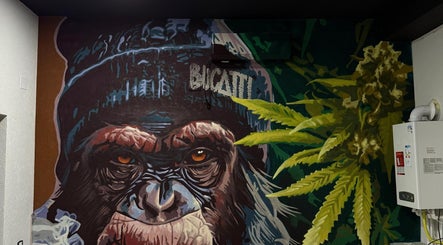 Artă graffiti urbană cu o gorilă în interiorul BUCATTI BARBERSHOP BY EL NINO, Popești-Leordeni, Județul Ilfov, RO.
