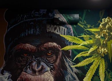 Mural vibrant cu imagine de maimuță la BUCATTI BARBERSHOP BY EL NINO, Popești-leordeni, Județul Ilfov, RO.