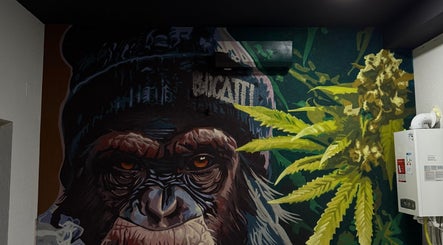 Mural vibrant cu imagine de maimuță la BUCATTI BARBERSHOP BY EL NINO, Popești-leordeni, Județul Ilfov, RO.