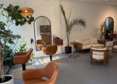 Relaxing interior of The Knotless Shop, New York, New York, US with stylish chairs and lush greenery.