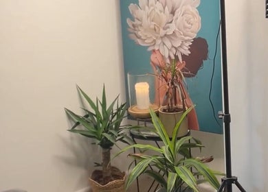 Tranquil plants and art at Solo Chair, Royal Leamington Spa, England, GB.