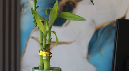 Vibrant bamboo at Dr. Nails Georgetown, Halton Hills, Ontario, CA, bringing a calming touch to the space.
