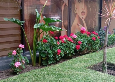 Colorido jardín en Sevastian Hair Studio Vip, Quito, Pichincha, EC, con flores y plantas exóticas.