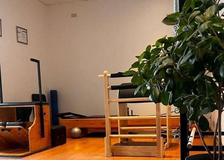 Equipo de Pilates en Forma Pilates Studio, El Tránsito, Región Metropolitana, CL, rodeado de plantas verdes.