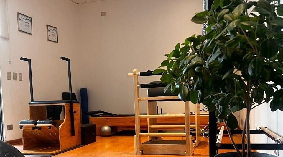Equipo de Pilates en Forma Pilates Studio, El Tránsito, Región Metropolitana, CL, rodeado de plantas verdes.