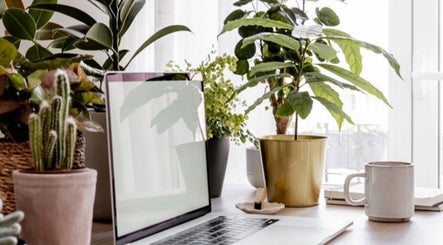 Elegant workspace with plants at Oak Soul Collective, Oakland, California, US.
