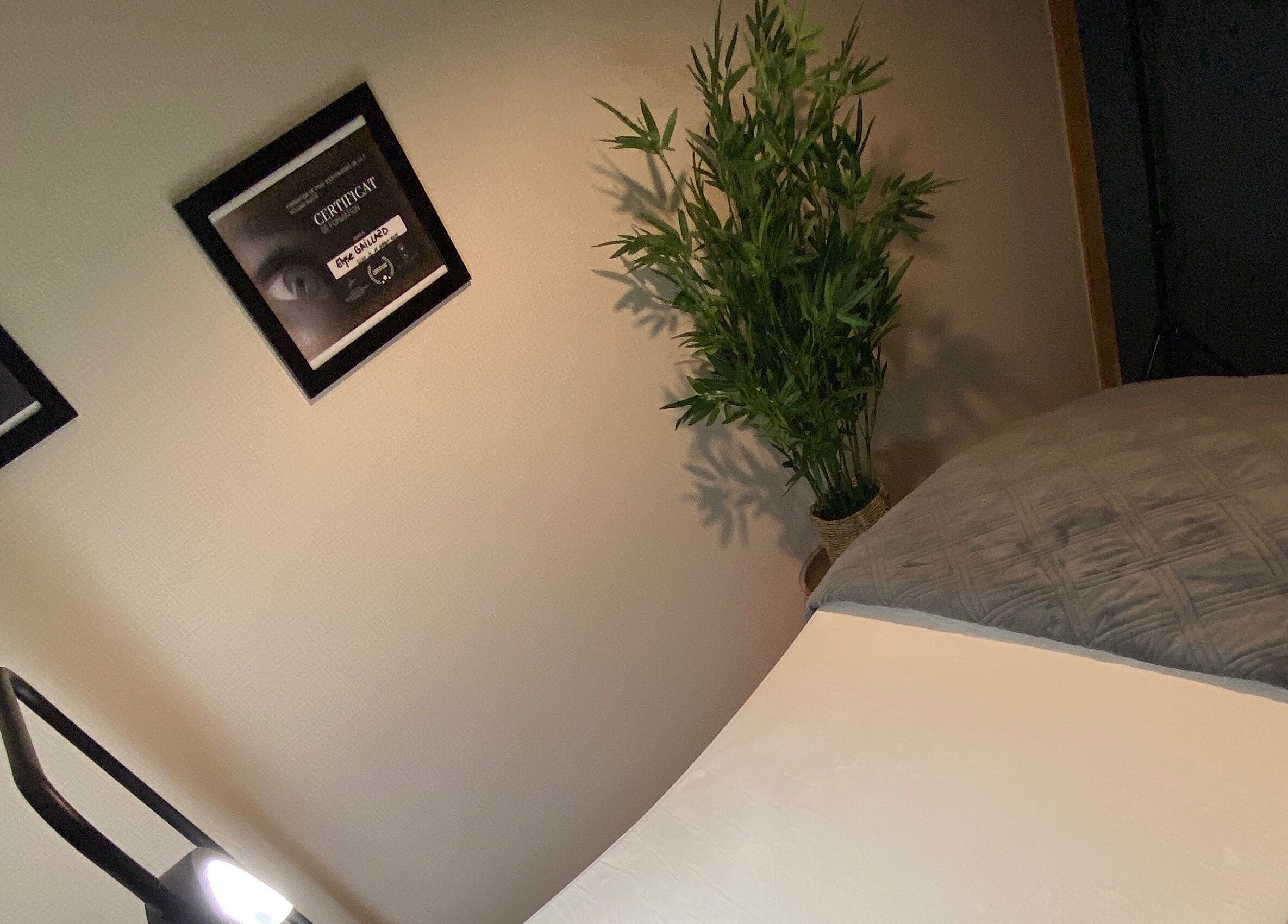 Salle détente chez Pro Extensions, Curtil-Vergy, Bourgogne-Franche-Comté, FR avec lit, bambou et certificats au mur.