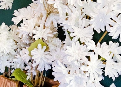 Elegant white flowers arranged at MbeautySpa, Willemstad, Curaçao, CW for a tranquil ambiance.